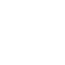 Local Expert